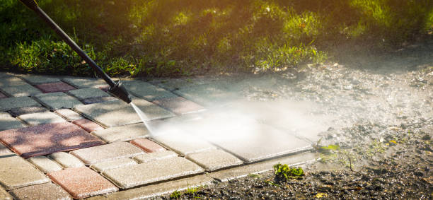Best Solar Panel Cleaning  in Lake Nacimiento, CA